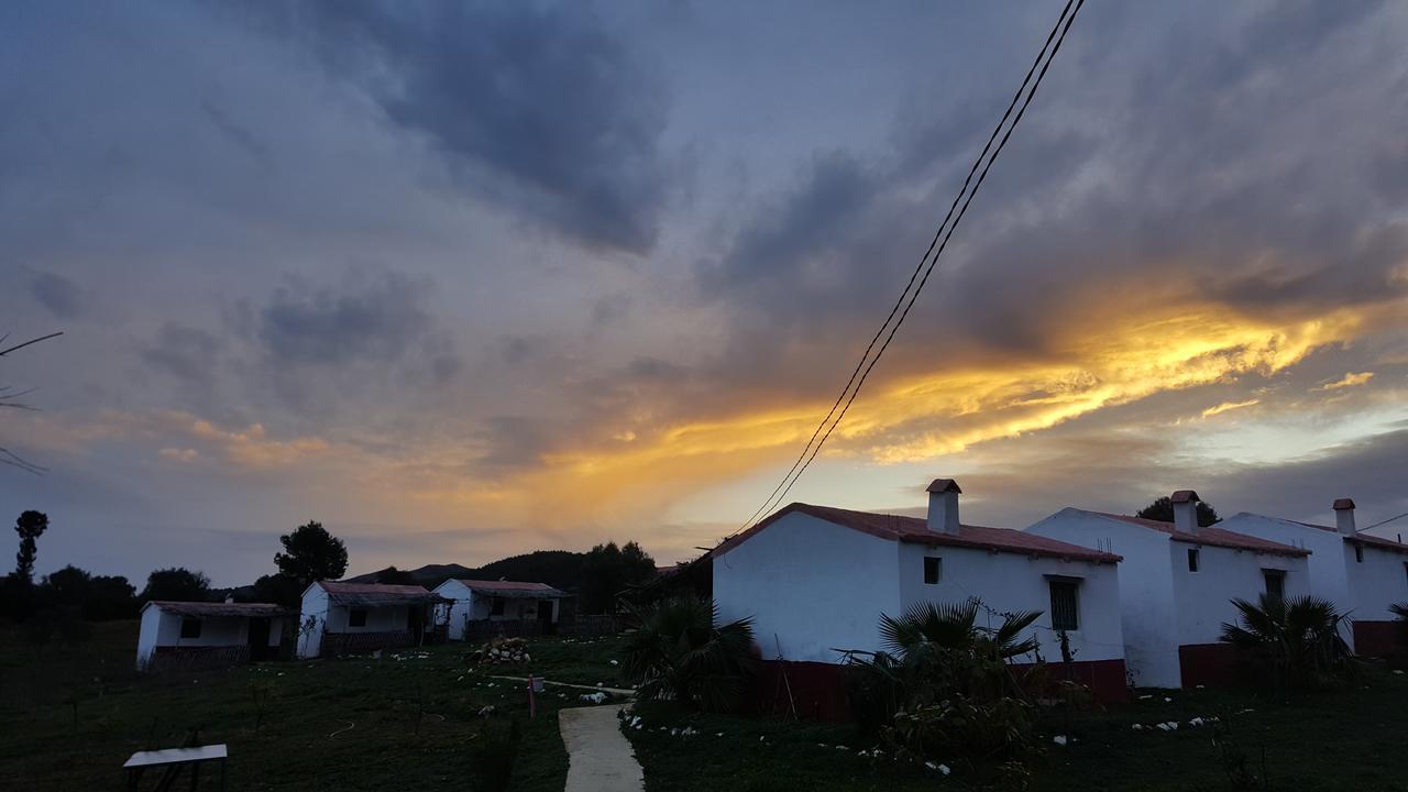 Ferma Jebala Ecolodge Kitane Cameră foto